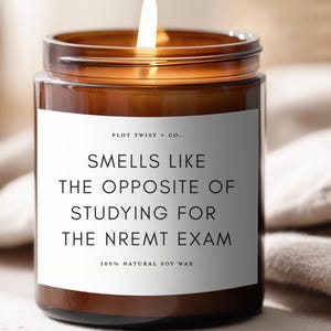May include: A lit candle in a brown glass jar with a white label that reads PLOT TWIST + CO. SMELLS LIKE THE OPPOSITE OF STUDYING FOR THE NREMT EXAM 100% NATURAL SOY WAX. The candle features a single burning wick centered in the amber glass container.
