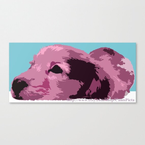 apple dapple dachshund