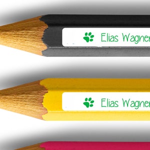 50 bolígrafos adhesivos con pata aptos para lavavajillas 38 x 6 mm Verde