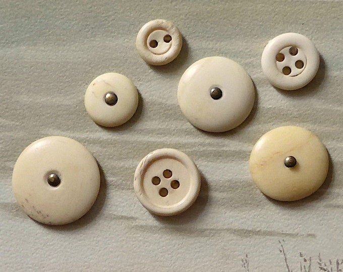 Bone Buttons, 7 Different, Antique. 3 Are Large Pinheads Plus 1 Other ...