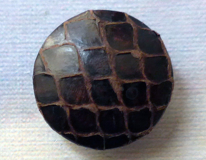 Reptile Skin Button, Vintage. Round, Snake Skin With a Slightly Rounded ...
