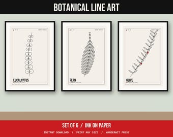 Botanical Line Art Set of 6, Minimalist Plant Prints, Eucalyptus Fern Olive Ginkgo Lavender Palm, Printable Wall Art