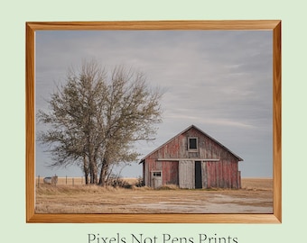 Rustic Red Barn Neutral Farmhouse Wall Art