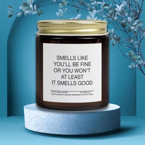 You’ll Be Fine Witty Comfort Candle for Literally Anyone Struggling Coconut Apricot Wax Candle Gift For Her Friend Co-Worker
