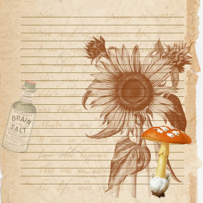 Sunflower Brushes ABR Digital 5 Vintage Botanical Etsy