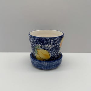 May include: A blue and white ceramic planter with a lemon design. The planter has a matching saucer.