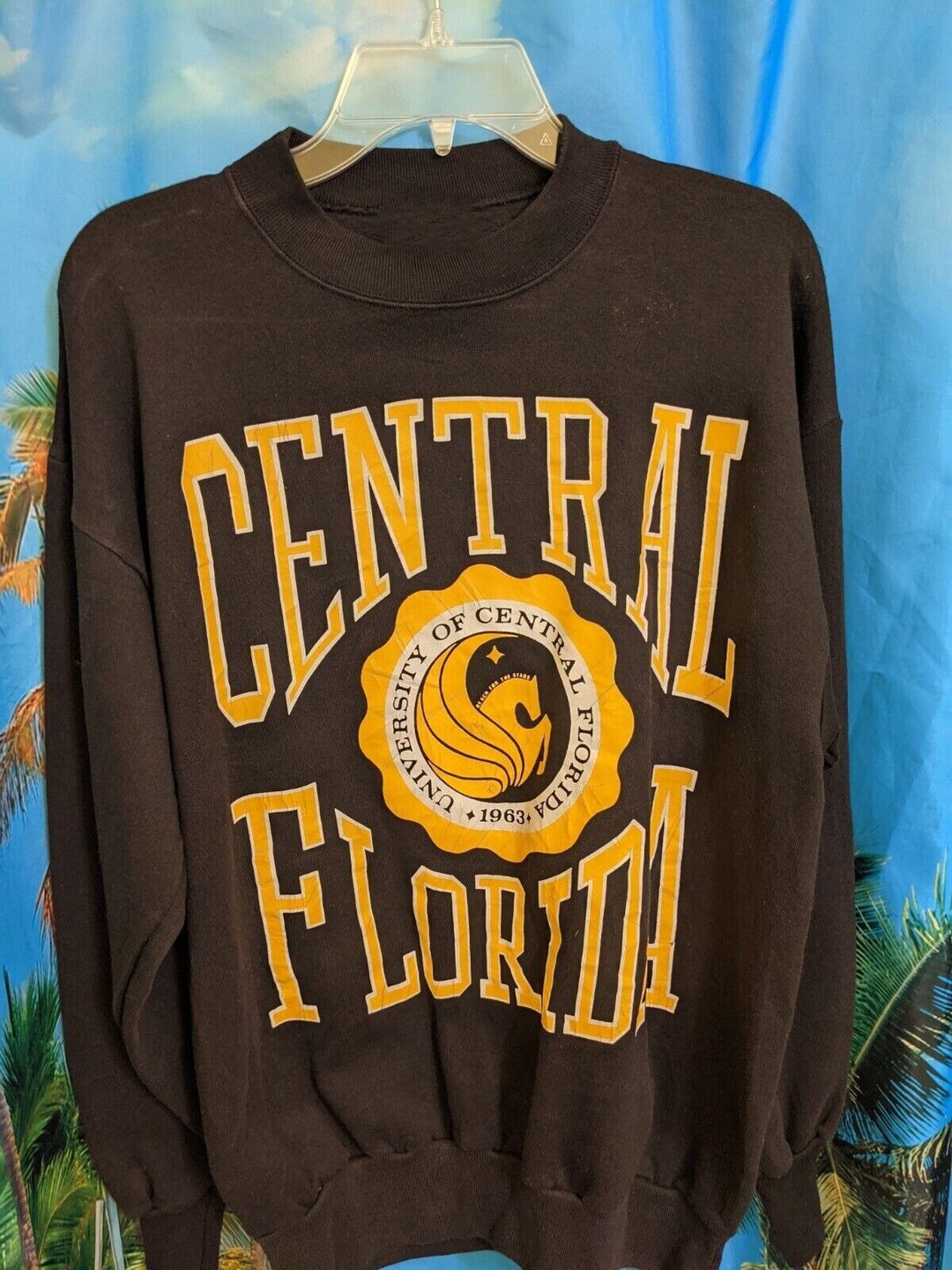 Vintage University of Central Florida Sweatshirt, UCF Knights Shirt