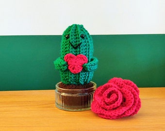 Crochet Cactus With Heart, Gift for Birthday, Anniversary, Unique Valentines Gift for Her, Heart Cactus Gift for Mum, Mother's Day, Wife