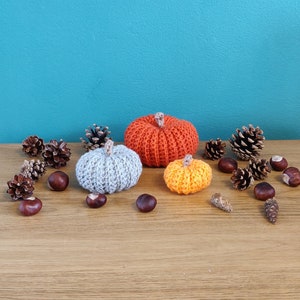 Crochet Pumpkins, Autumn Pumpkin Decorations, Pumpkin Patch, Pumpkin Decor, Autumn Home Decor, Orange Pumpkins, Gray Pumpkins, Fall Decor