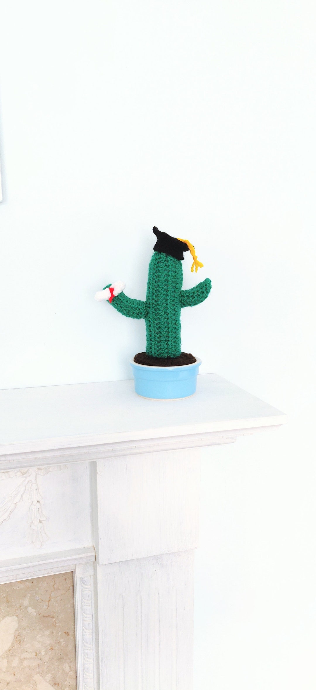 Graduating Cactus Crochet Graduation Cactus Gift: Mortarboard Leavers Present - Etsy