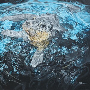 Carta di arte di curiosità - seal in acqua-