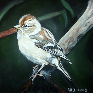 Hummingbird locale, prelevati dalla mia pittura pastello originale, la scheda di Fine Art in bianco con busta e plastica manica - uccelli, fauna, arte, carte