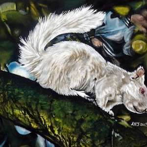 Scheda di Fine Art in bianco di scoiattolo con busta e manicotto di plastica prendere dalla mia originale pittura pastello - cartolina d'auguri, carta speciale, fauna selvatica