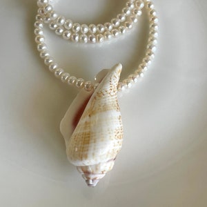 Shell and Pearl Necklace