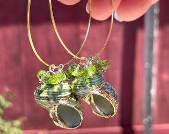 Green Shell and Peridot Hoop Earrings