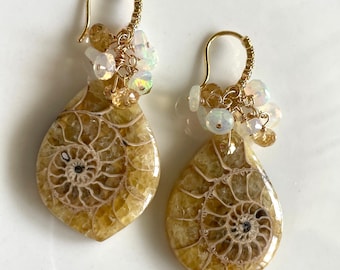 Opalized Ammonite and Ethiopian Opal Earrings