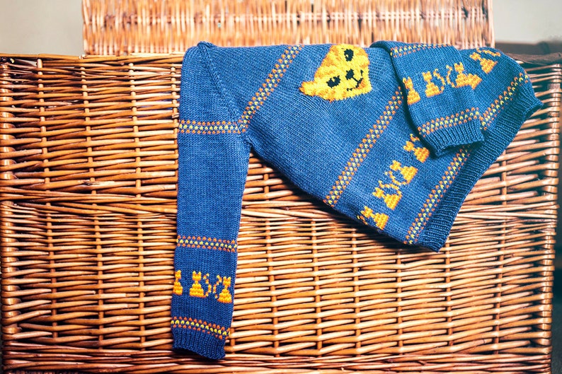 Kitty Cat Sweater Jumper. Pattern Only Etsy UK