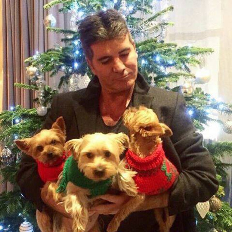 The Yorkie Christmas Jumper a Small Dog Sweater. Pattern Only Etsy