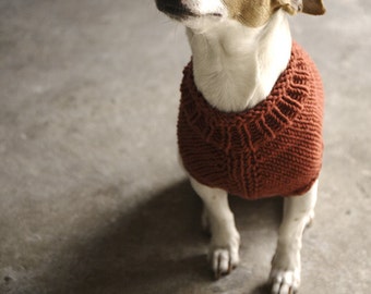 jack russell jumper