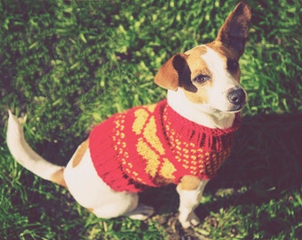 Knitting Pattern Dog Coat Jack Russell Juno Jumper Dog Sweater