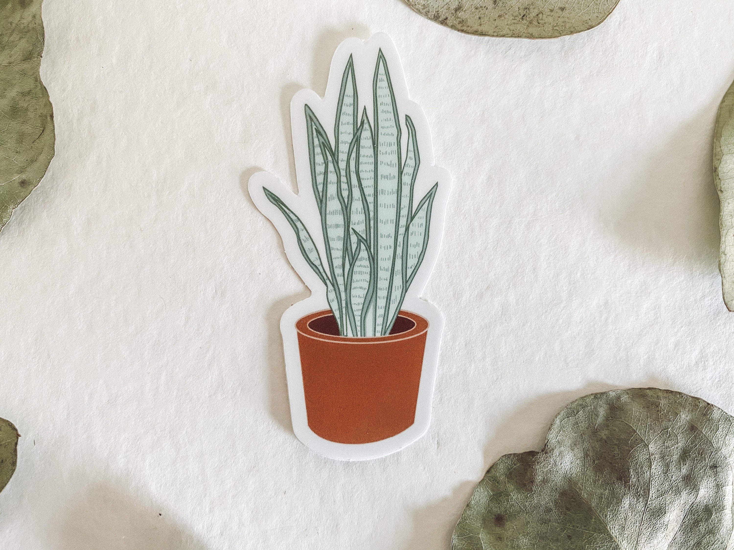 3 Plant Stickers Mix &amp; Match Bundle, Glossy Coated vinyl