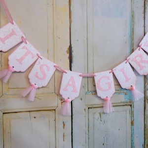 Embossed It&#39;s A Girl Banner: Pink & White Tulle Baby Shower Decor