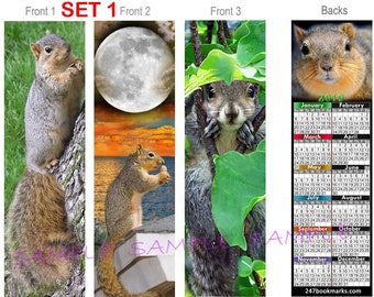 3 Set/Lot-SQUIRRELS 2018 / 2019 CALENDAR BOOKMARK, You get All 3 (2 Sizes offered) Red Ground Tree Gray Squirrel Card Art