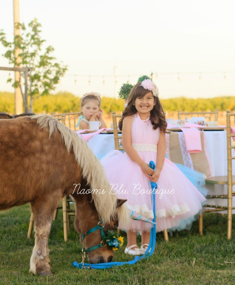 Flower Girl Wedding Naomi Blu High Neck Flower Girl Tutu Dress in Pink with Lace Trim