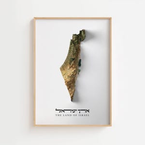 Schaduwrijke poster reliëfkaart van Israël
