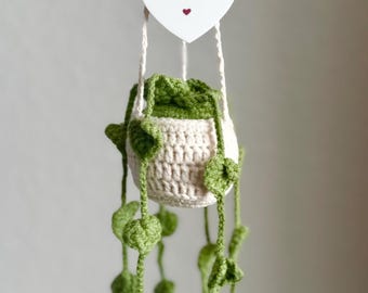 Gift for sister Christmas gift for sister , plant lover gift, crochet gift