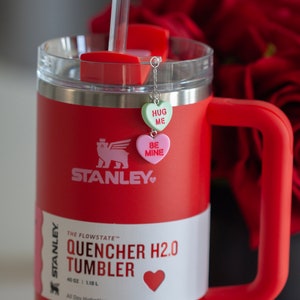 CIZULFY Charm for Stanley Cup Accessories, Cute Dog Charm for  Stanley/Simple Modern/Yeti Cup with Handle, Stanley Cup Charms for Stanley  Accessories.