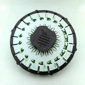 Phenakistoscope Frog Zoetrope *Please Read Info Before Purchase/ Phone, Tablet or Handheld Spinner Viewer Required to View Animation*