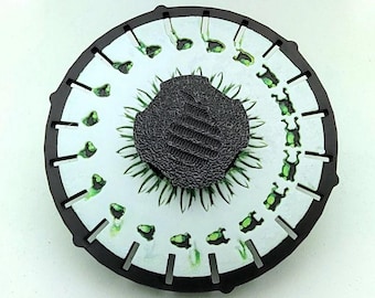 Phenakistoscope Frog Zoetrope *Please Read Info Before Purchase/ Phone, Tablet or Handheld Spinner Viewer Required to View Animation*