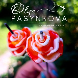 Może przedstawiać: Dwie czerwono-białe szklane róże z białymi zawijasy na łodydze. Róże są ręcznie robione i mają podpis lampworkowego artysty.