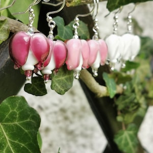 Sterling Silver Earrings Bleeding Hearts, Dicentra, murano glass image 5