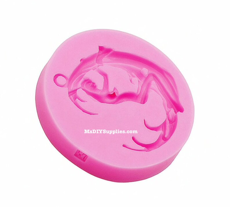 May include: A pink silicone mold with a dragon design. The mold is circular with a small hole for hanging. The dragon is detailed with curved lines and a textured surface. The text "MsDIYSupplies.com" is printed on the side.