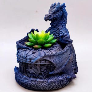 May include: A blue dragon planter with a succulent plant inside. The dragon is curled around the planter, with its wings spread out. The planter is decorated with intricate details.