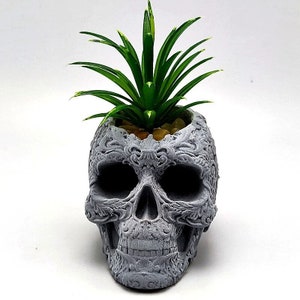 Puede incluir: Un macetero de calavera gris con detalles intrincados, con una pequeña planta suculenta verde que crece desde la parte superior.