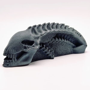 Epic 3D Skull Silicone Mold – Wyvern's Hoard