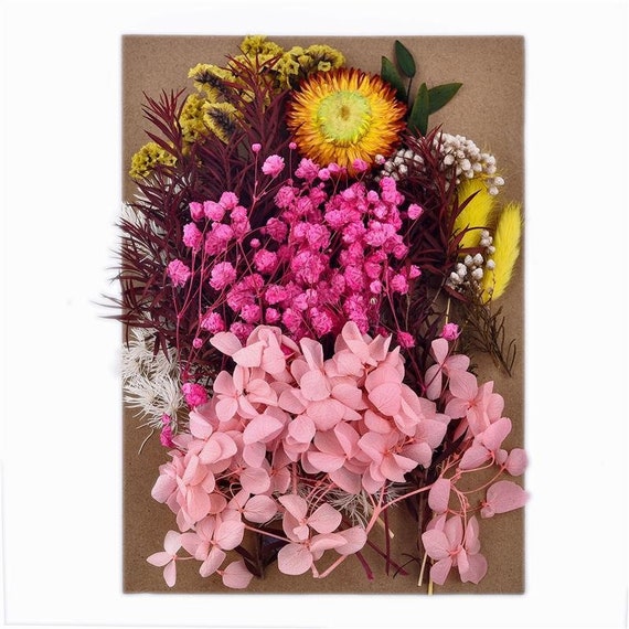 1pkt Natural Dried Flowers for Candle Soap Resin Decoration Etsy