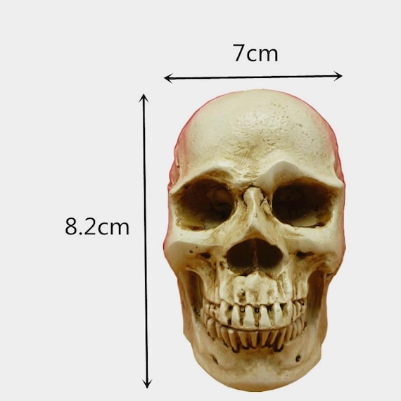 3D Skull Candle and Soap Silicone Mold Casting
