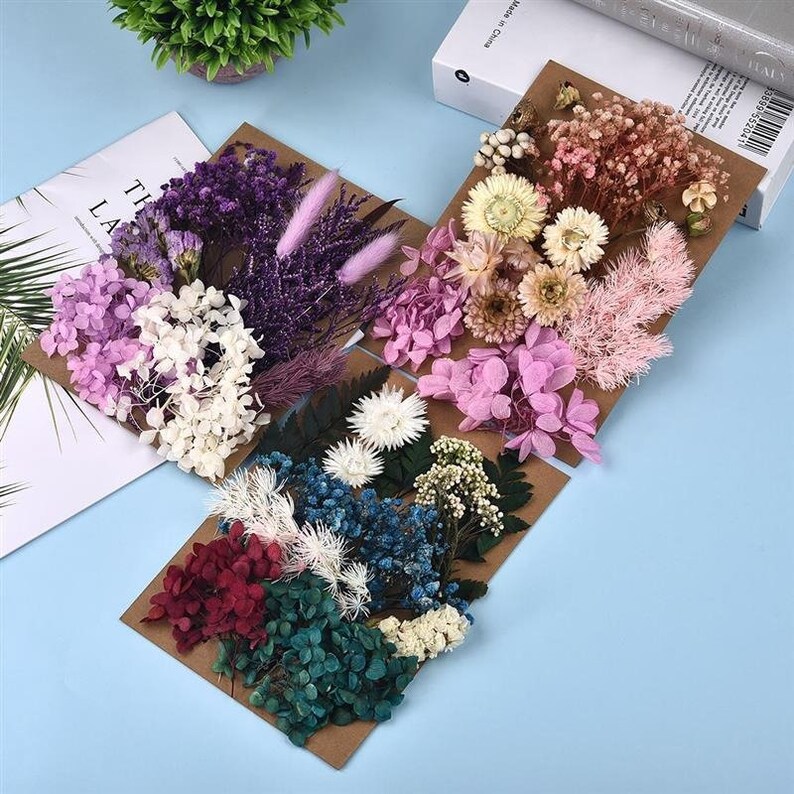 1pkt Natural Dried Flowers for Candle Soap Resin Decoration Etsy
