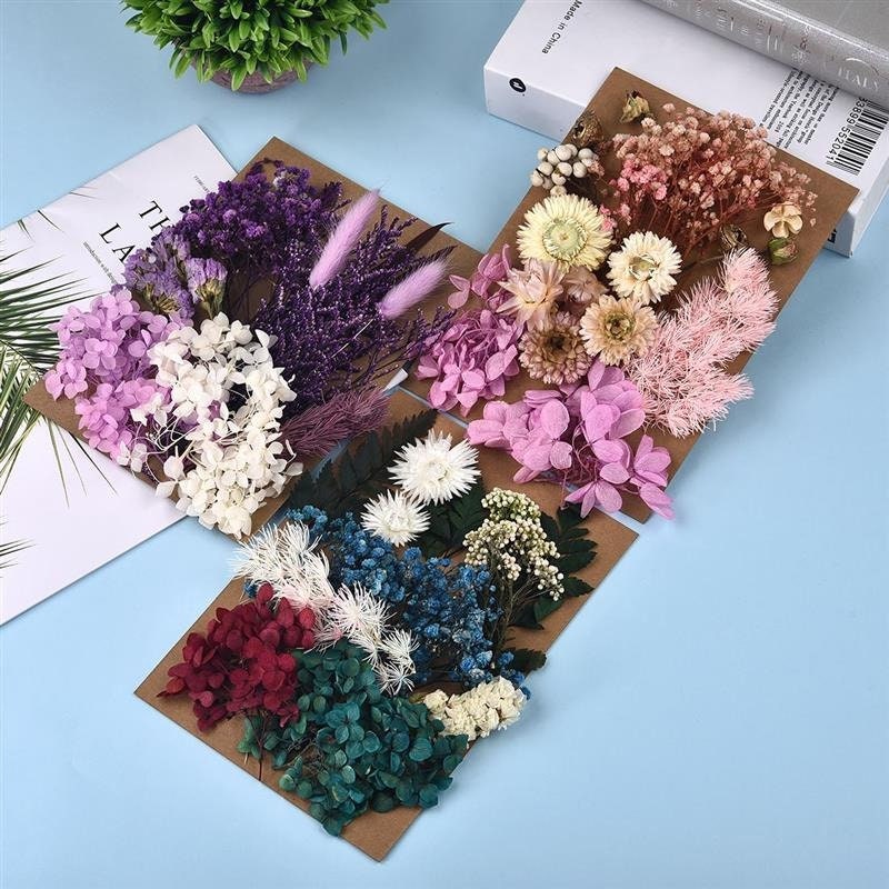 Natural Dried Flowers for Candle Making Handmade Soap 