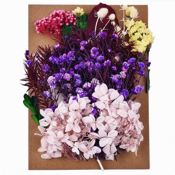 Natural Dried Flowers for Candle Making Handmade Soap 