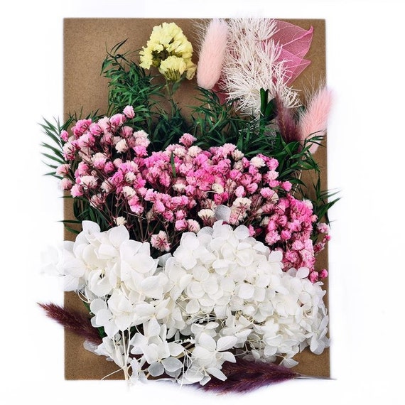 Natural Dried Flowers for Candle Soap Resin Decoration Etsy