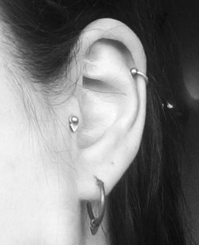 Puede incluir: Primer plano de la oreja de una persona con varios piercings. La oreja est&aacute; perforada en el h&eacute;lix, el conch y el l&oacute;bulo. Los piercings est&aacute;n adornados con peque&ntilde;os pendientes de plata y un aro.