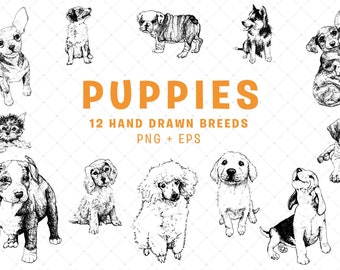 Hand Drawn Puppies | Vector Artwork | 12 Breeds | Ink Drawings | PNG, EPS | Adobe Illustrator | Clipart