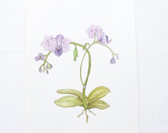 Orchid Watercolor Print | Floral | Botanical | Exotic | Painting | Flowers