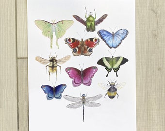 Insects Watercolor Print | Realistic | Butterflies | Bees | Nature | Animals | Dragonflies | Bugs | Scientific | Illustration