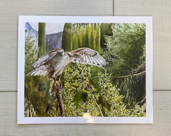 Hawk Watercolor Print | Realistic | Birds | Avian | Nature | Animals | Bird of Prey